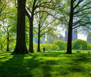 img_Promotion_block-Green buildings_320x270